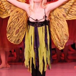 Rare Tirelli Costumi - Butterfly Costume (Fragile,Worn) Lyric Opera of ChicagoXS